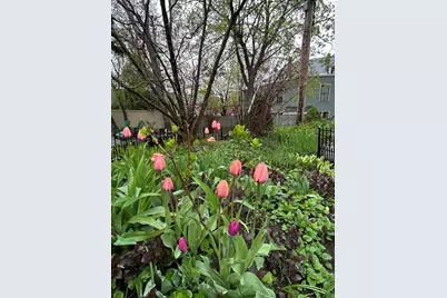 49 Deering Street, Portland, ME 04101 - Photo 92