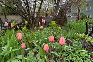 49 Deering St, Portland, ME 04101 - Photo 92