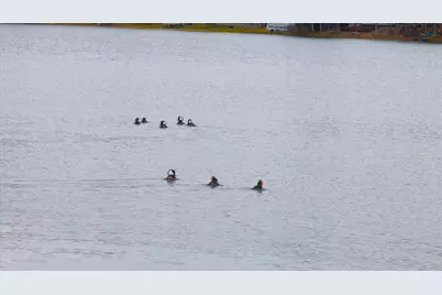 55 Loop Road, Acton, ME 04001 - Photo 48