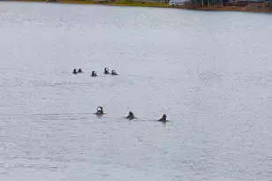 55 Loop Rd, Acton, ME 04001 - Photo 48