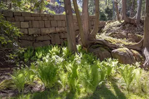 6 Cliffhanger Ln, Mount Desert, ME 04675 - Photo 66