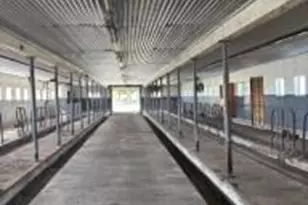 1631 Lakewood Rd, Madison, ME 04950 - Photo 12