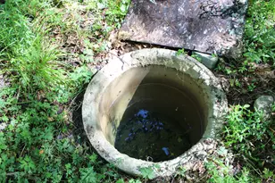 441 Lake Rd, Perry, ME 04667 - Photo 40