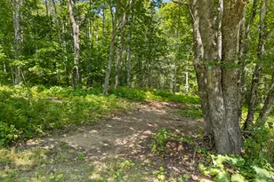 38 Osprey Reach Rd, Stockton Springs, ME 04981 - Photo 56