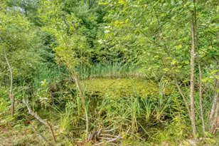 175 Loggin Rd, Frankfort, ME 04438 - Photo 64