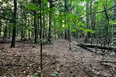 57&57D Tinker Ln and Pointer Way, Cumberland, ME 04021 - Photo 8