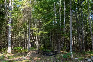 14 Pinkie Ln, Southport, ME 04576 - Photo 46