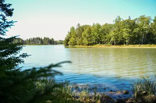 45 Missy Way, Steuben, ME 04680 - Photo 12