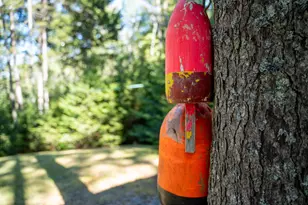 45 Missy Way, Steuben, ME 04680 - Photo 46