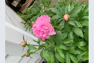 549 Hudson Road, Glenburn, ME 04401 - Photo 32