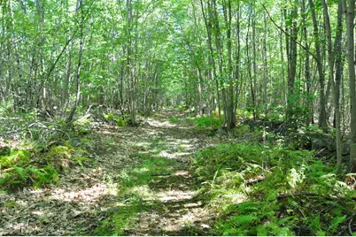 1765 Ohio Street, Bangor, ME 04401 - Photo 26