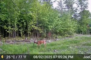 331 Beans Corner Rd, New Sharon, ME 04955 - Photo 42