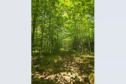 331 Beans Corner Road, New Sharon, ME 04955 - Photo 40