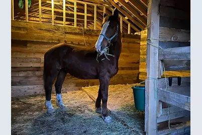 24 Fickett Lane, Solon, ME 04979 - Photo 38