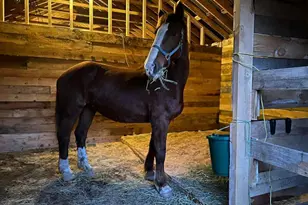 24 Fickett Ln, Solon, ME 04979 - Photo 38