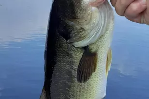 2 and 3 Blue Heron Ln, Winslow, ME 04901 - Photo 28