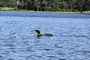 2 and 3 Blue Heron Ln, Winslow, ME 04901 - Photo 30