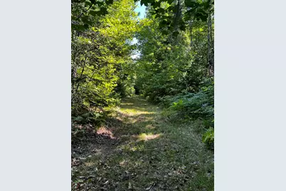Lot 5-5&4 Bushey Road, Greenville, ME 04441 - Photo 20