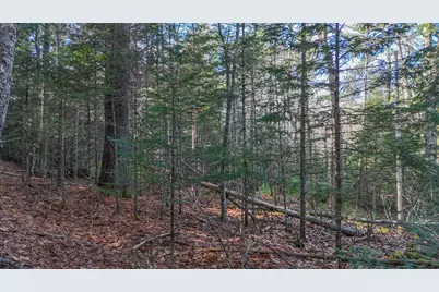 Lot #13-1 Shore Road, Ellsworth, ME 04605 - Photo 38