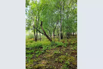 Lot #13-1 Shore Road, Ellsworth, ME 04605 - Photo 28