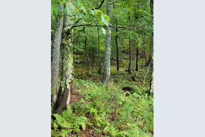 Lot #13-1 Shore Road, Ellsworth, ME 04605 - Photo 24