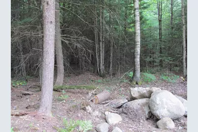 052 Bradbury Ridge Rd Off Averill, Dixfield, ME 04224 - Photo 34