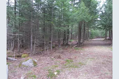 052 Bradbury Ridge Rd Off Averill, Dixfield, ME 04224 - Photo 6