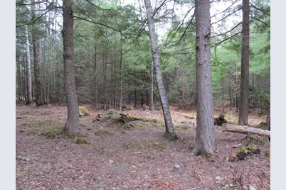 052 Bradbury Ridge Rd Off Averill, Dixfield, ME 04224 - Photo 16