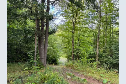 Lot 8 & 9 Moores Road, Springfield, ME 04487 - Photo 16