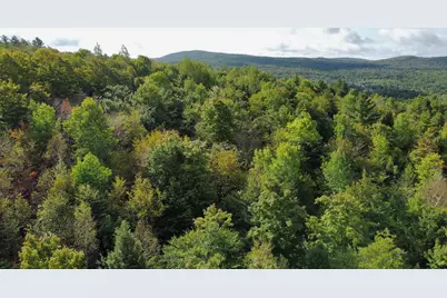 Lot 8 & 9 Moores Road, Springfield, ME 04487 - Photo 4