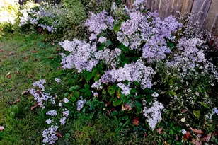 29 15th St, Old Orchard Beach, ME 04064 - Photo 40