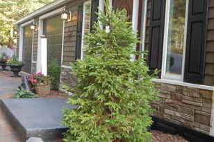 48 Kingsley Farm Rd, Gouldsboro, ME 04607 - Photo 34