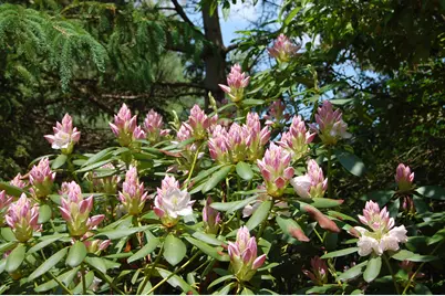 48 Kingsley Farm Road, Gouldsboro, ME 04607 - Photo 28