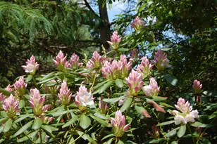 48 Kingsley Farm Rd, Gouldsboro, ME 04607 - Photo 28