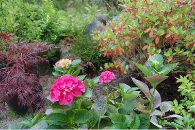 48 Kingsley Farm Road, Gouldsboro, ME 04607 - Photo 24