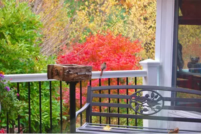 48 Kingsley Farm Road, Gouldsboro, ME 04607 - Photo 32