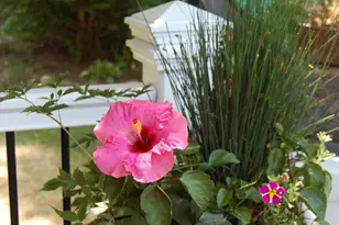 48 Kingsley Farm Rd, Gouldsboro, ME 04607 - Photo 22