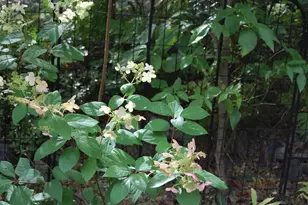 48 Kingsley Farm Rd, Gouldsboro, ME 04607 - Photo 26