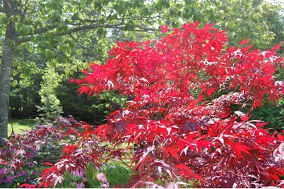 48 Kingsley Farm Road, Gouldsboro, ME 04607 - Photo 30