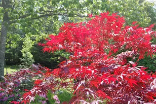 48 Kingsley Farm Rd, Gouldsboro, ME 04607 - Photo 30