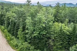 Lot 17 Countryside Ln, Bethel, ME 04217 - Photo 6