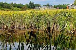 96 W West Ridge Rd, Littleton, ME 04730 - Photo 50