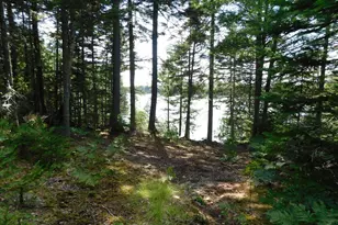 61 Sawyer Pond Highlands Rd, Greenville, ME 04441 - Photo 10