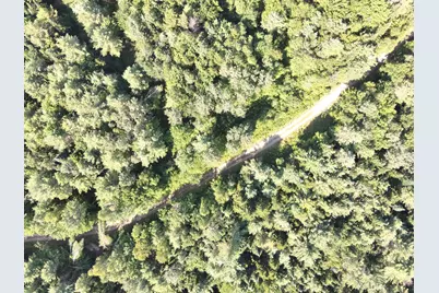 279 East Branch Road, Seboeis Plantation, ME 04448 - Photo 8