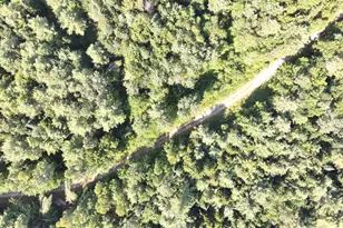 279 E Branch Rd, Seboeis Plantation, ME 04448 - Photo 8