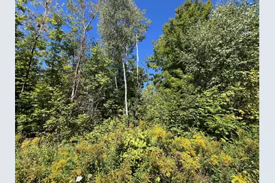 Map 1 Lot 16 Dexter Road, Garland, ME 04939 - Photo 6