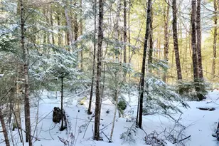 27 Trout Brook Rd, Mariaville, ME 04605 - Photo 6