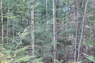 27 Trout Brook Rd, Mariaville, ME 04605 - Photo 24