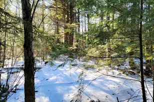 27 Trout Brook Rd, Mariaville, ME 04605 - Photo 2