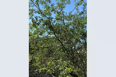 112 Hawk Mountain Road, Waterford, ME 04088 - Photo 58